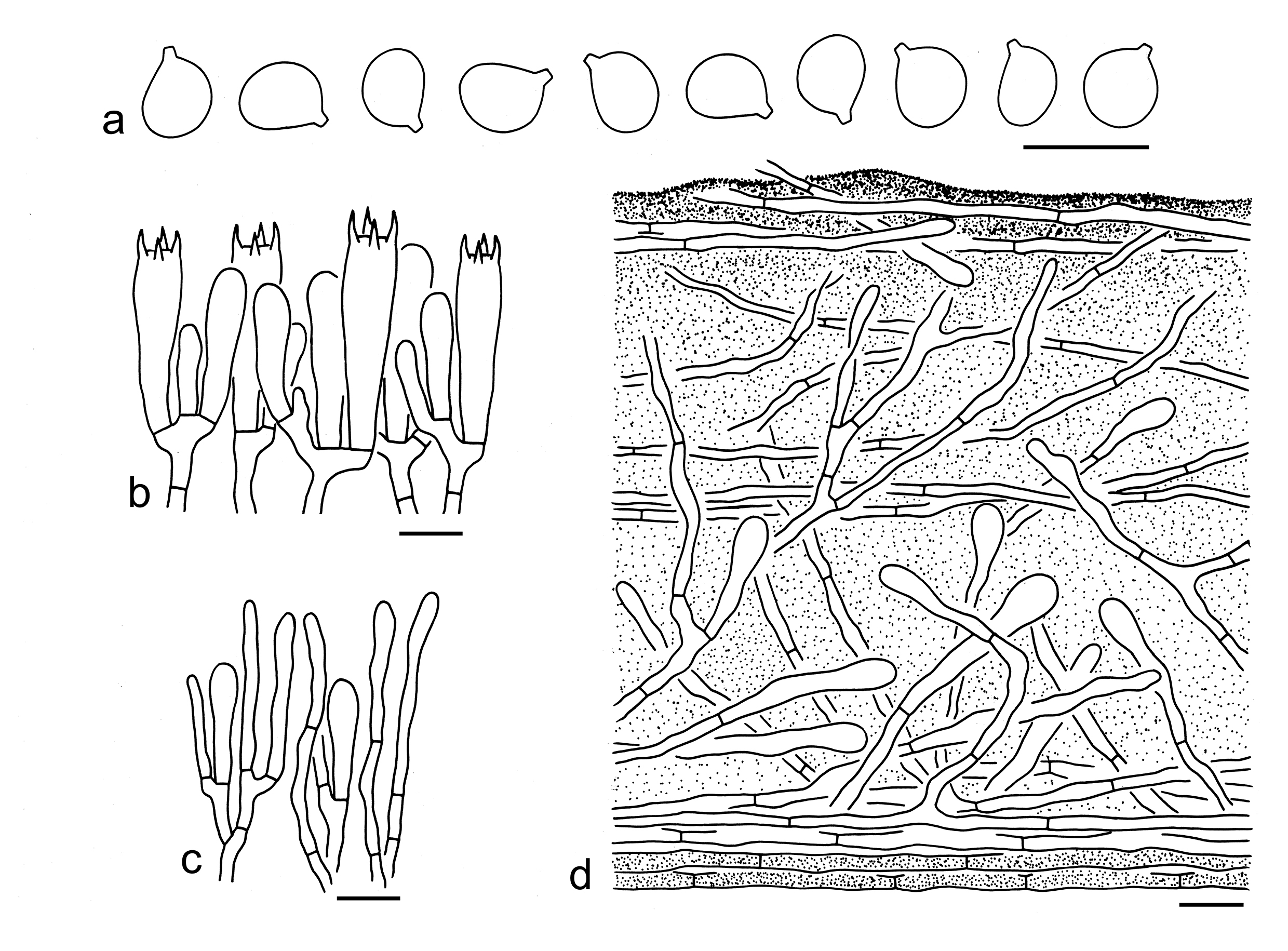 Figure 32